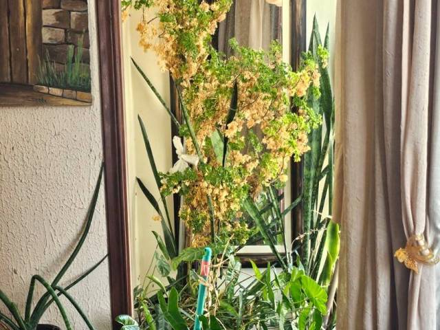 Apartamento para Venda em Santos - 4