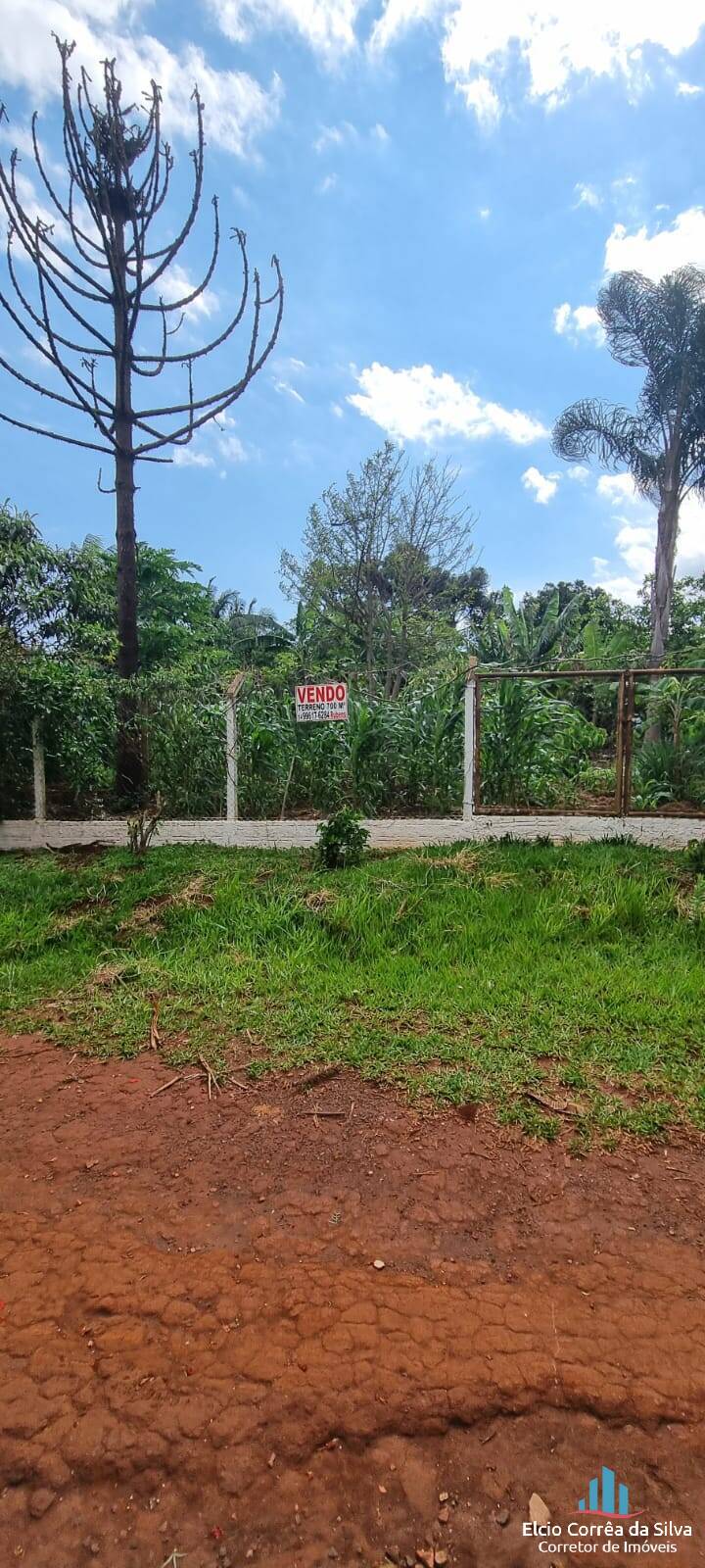 Casa, 3 quartos, 265 m² - Foto 19