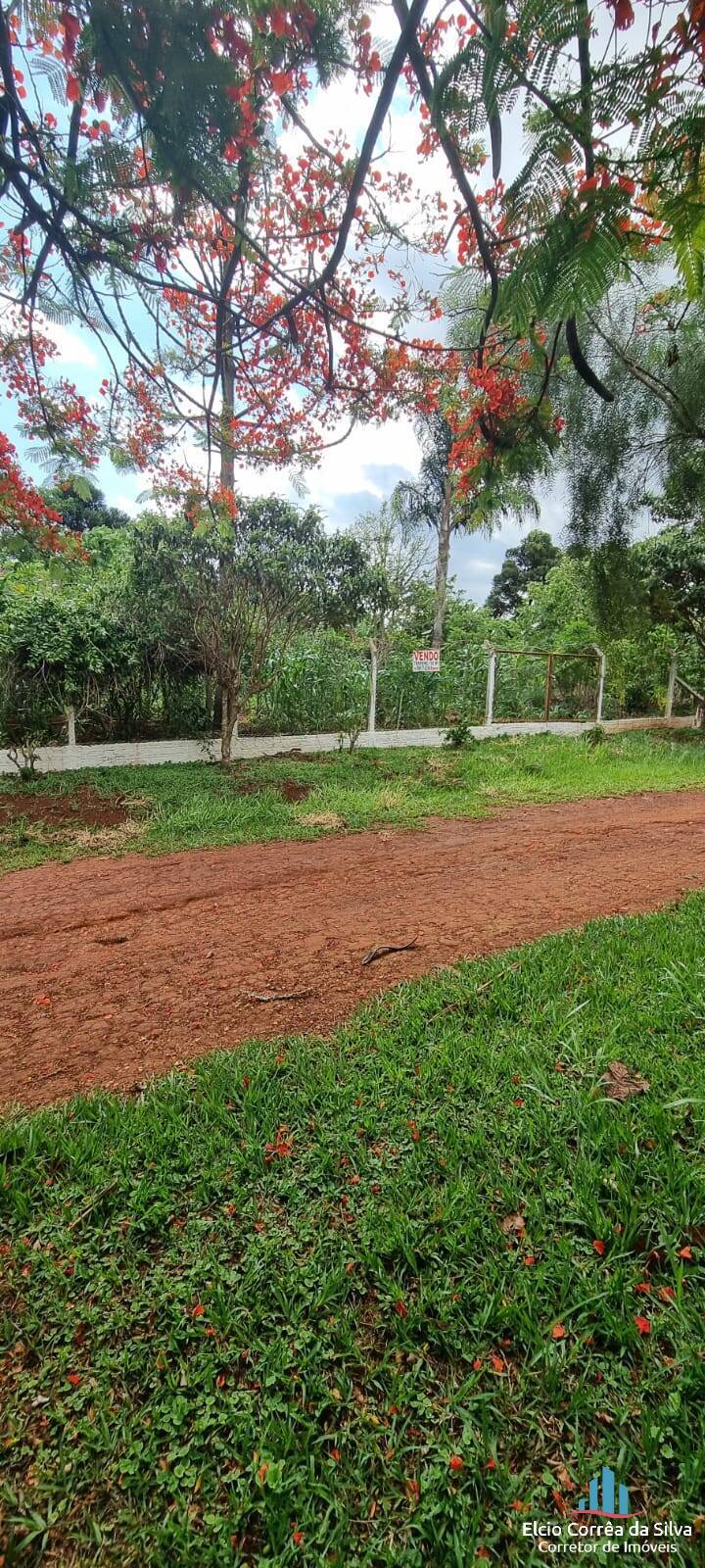 Casa, 3 quartos, 265 m² - Foto 22